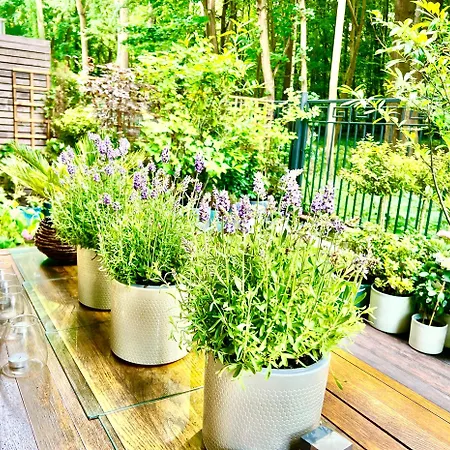 Baltic Riviera - Terrace * Sopot
