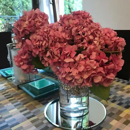 Baltic Riviera - Terrace Apartament